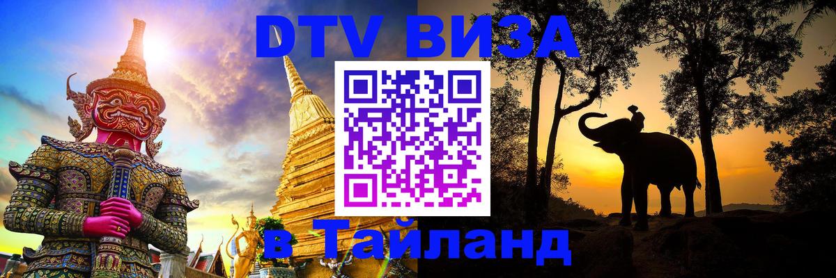 Оформление DTV визы под ключ: стоимость и тарифы, только загранпаспорт - 